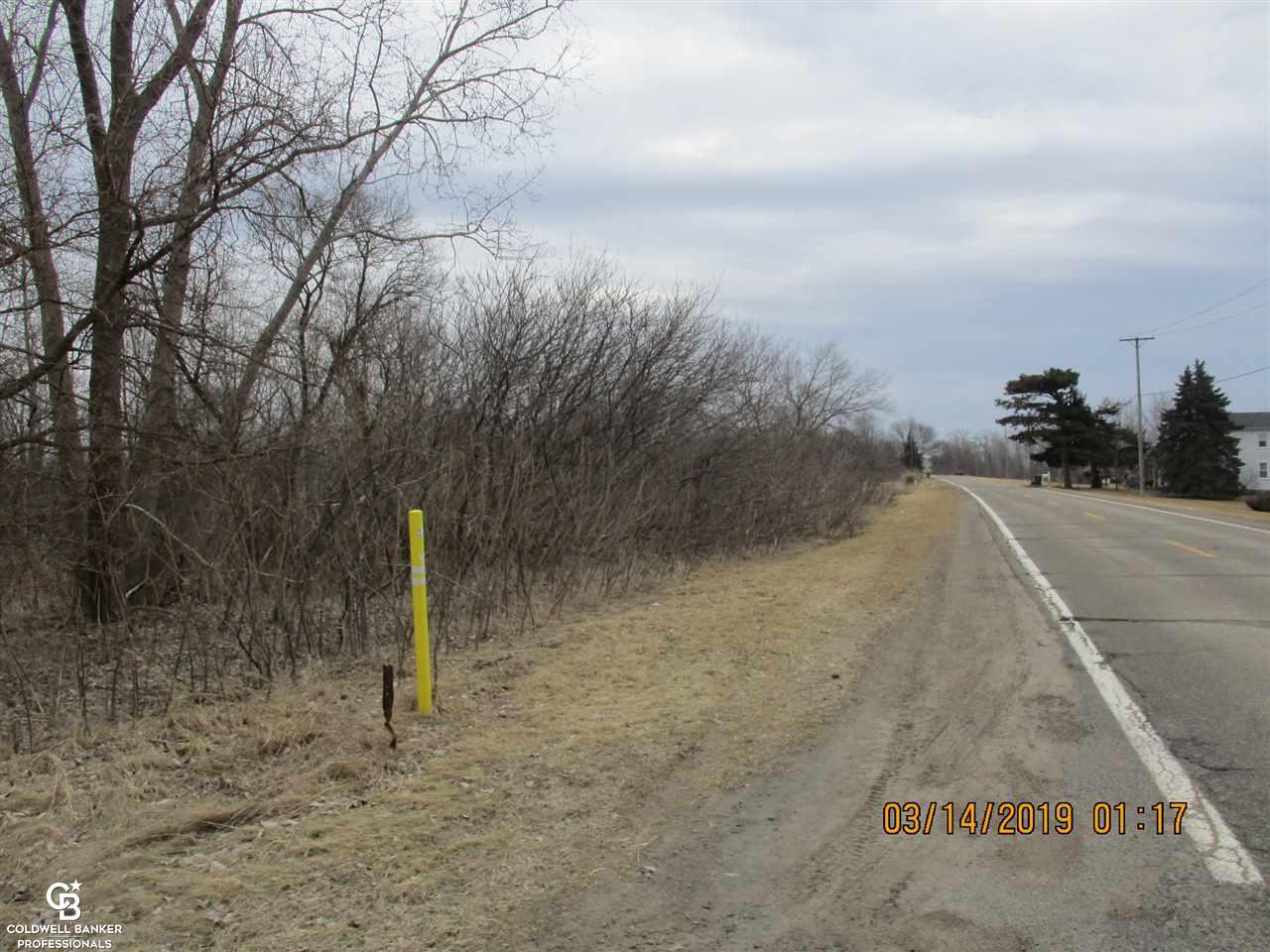 0 Armada Ridge Parcel 6 Road Richmond, MI 48062 - Photo 3 of 10