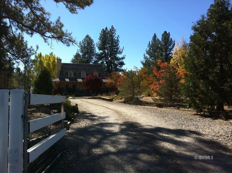 36285 Tool Road Mountain Center, CA 92561 - Photo 3 of 47 a view of a backyard with trees
