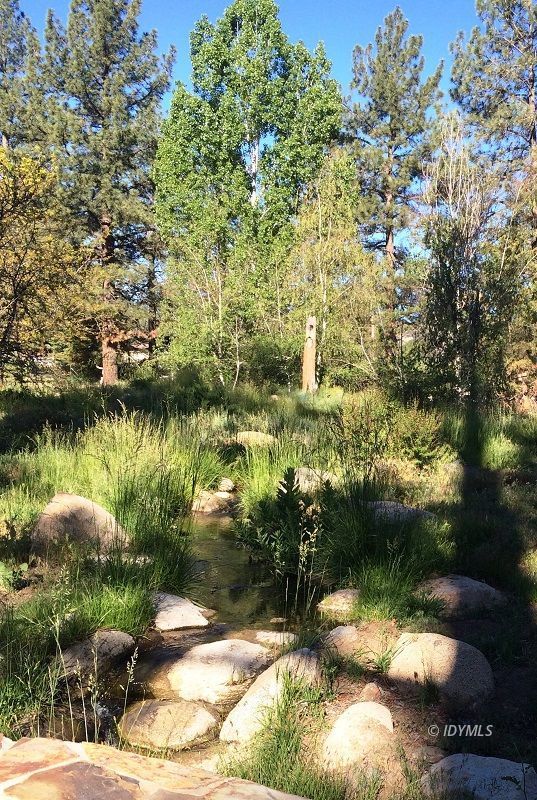 36285 Tool Road Mountain Center, CA 92561 - Photo 41 of 47 a backyard of a house with lots of green space