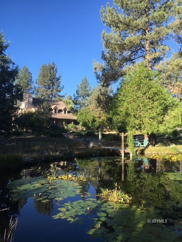 36285 Tool Road Mountain Center, CA 92561 - Photo 5 of 47 a view of lake