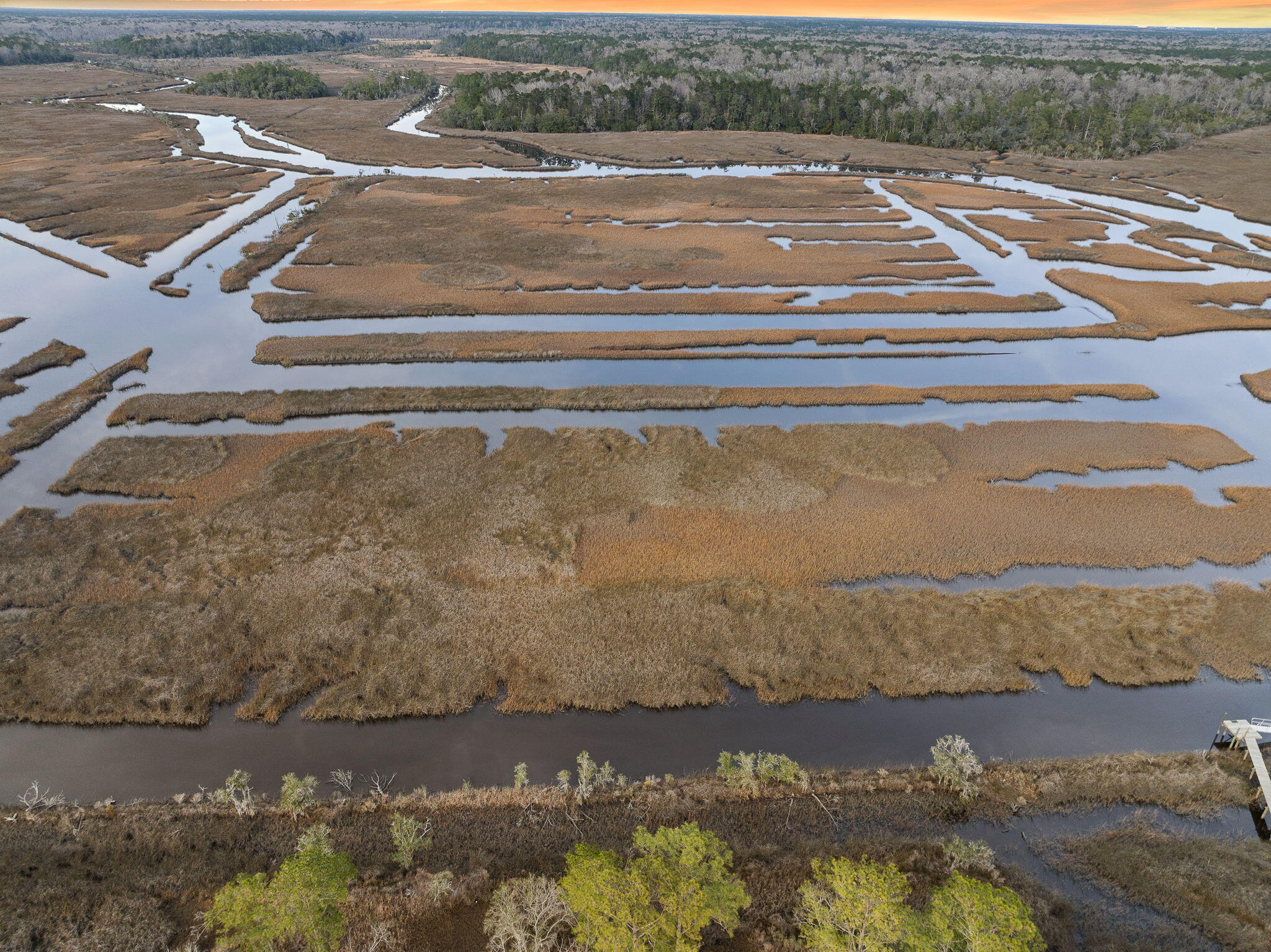 113 Silverbell Lane Ravenel, SC 29470 - Photo 12 of 63 12-web-or-mls-Barclay Media Co -16