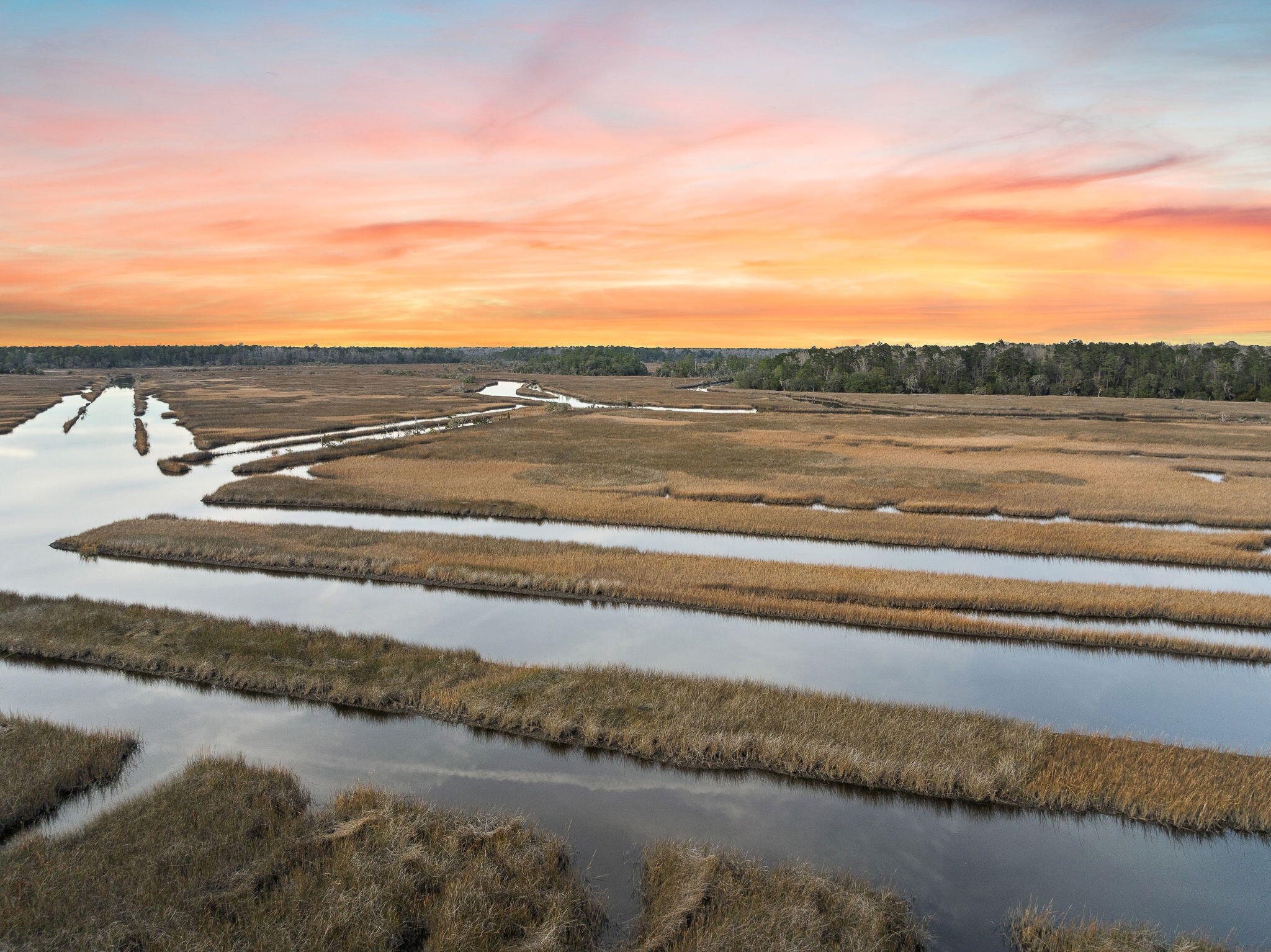 113 Silverbell Lane Ravenel, SC 29470 - Photo 15 of 63 15-web-or-mls-Barclay Media Co -19