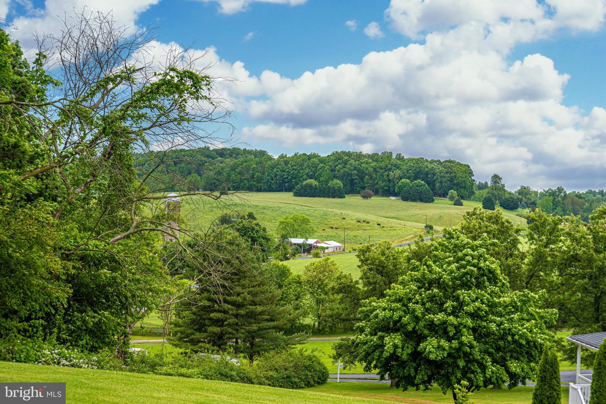 8399 Mapleville Road Mount Airy, MD 21771 - Photo 5 of 64 Gorgeous view from kitchen window.