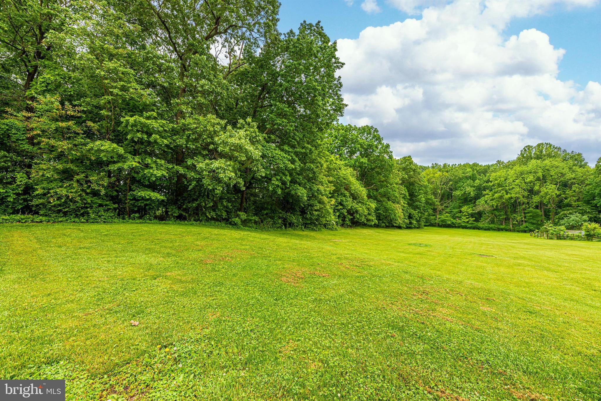 8399 Mapleville Road Mount Airy, MD 21771 - Photo 56 of 64 What a view. Enjoy your private paradise!