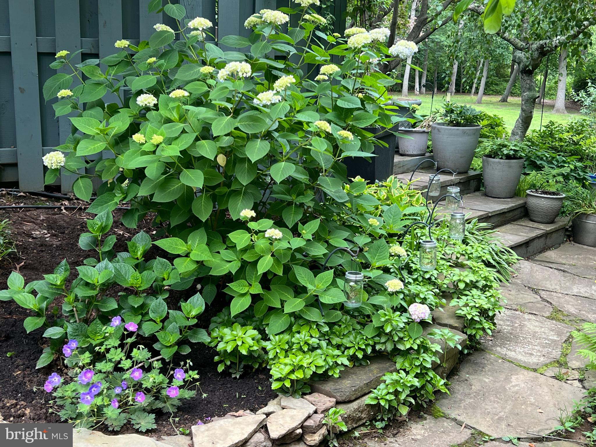 518 Fawns Walk Annapolis, MD 21409 - Photo 22 of 29 a bunch of flowers in a garden
