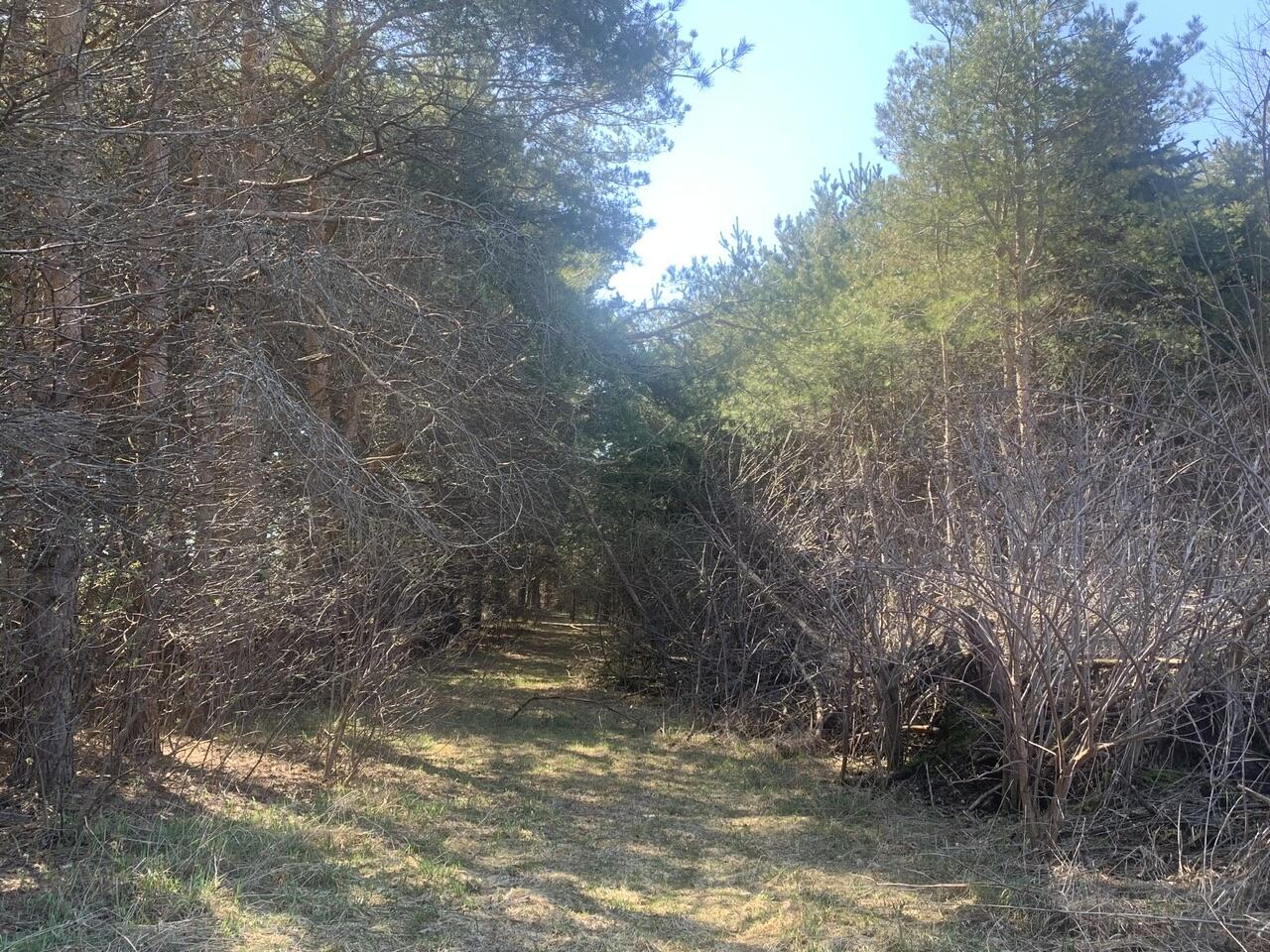 North Sherman Road Frederic, MI 49733 - Photo 4 of 22