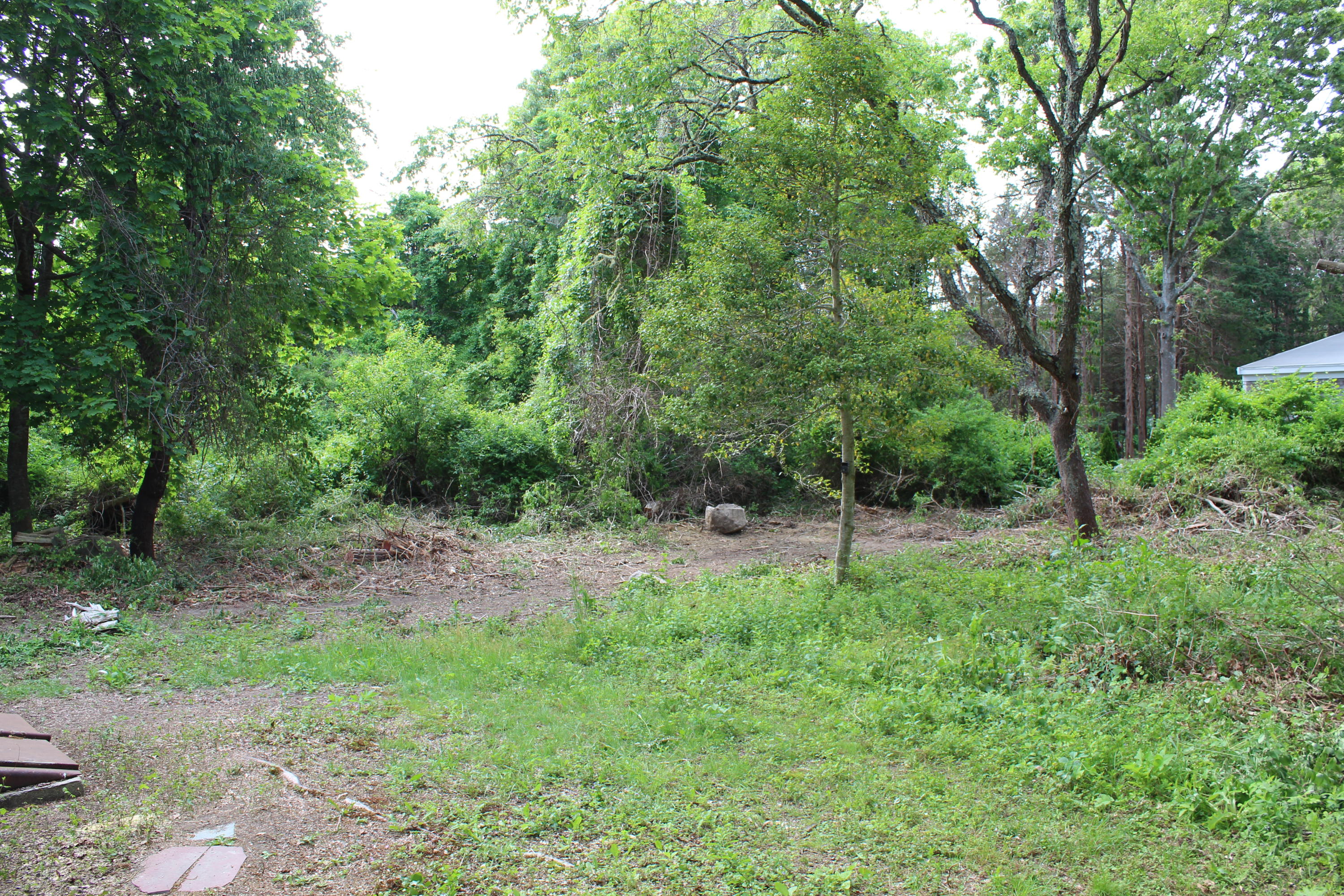 65 Chase Road Falmouth, MA 02540 - Photo 21 of 28 a green field with lots of trees in it