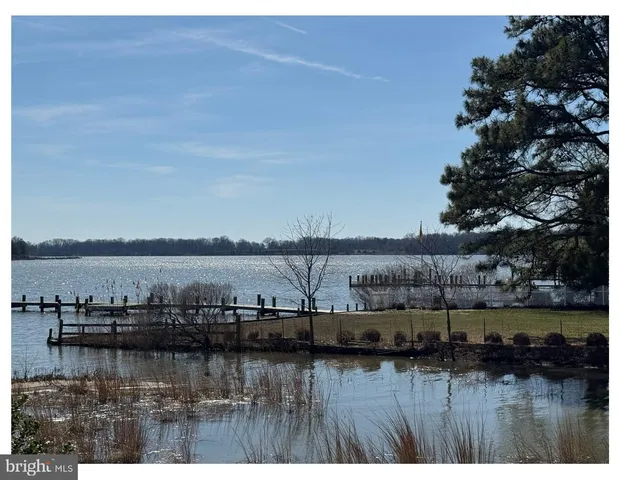 a view of ocean with boats and trees in the background