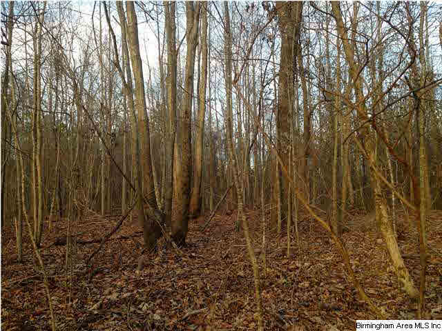 45 County Road, Unit 32 Bremen, AL 35033 - Photo 5 of 9