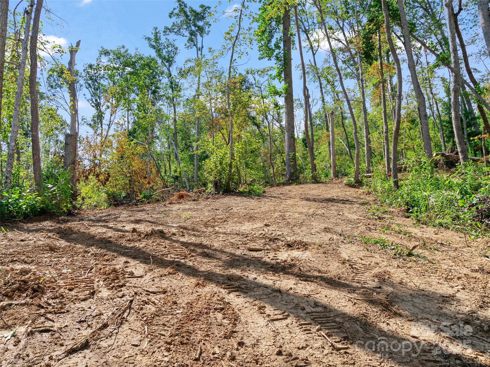 99999 Youngs Gap Road, Unit NORTH LOT Fletcher, NC 28732 - Photo 11 of 32