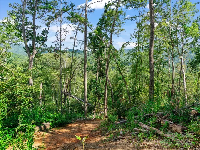 $199,000 | 99999 Youngs Gap Road, Unit NORTH LOT, Fletcher, NC 28732