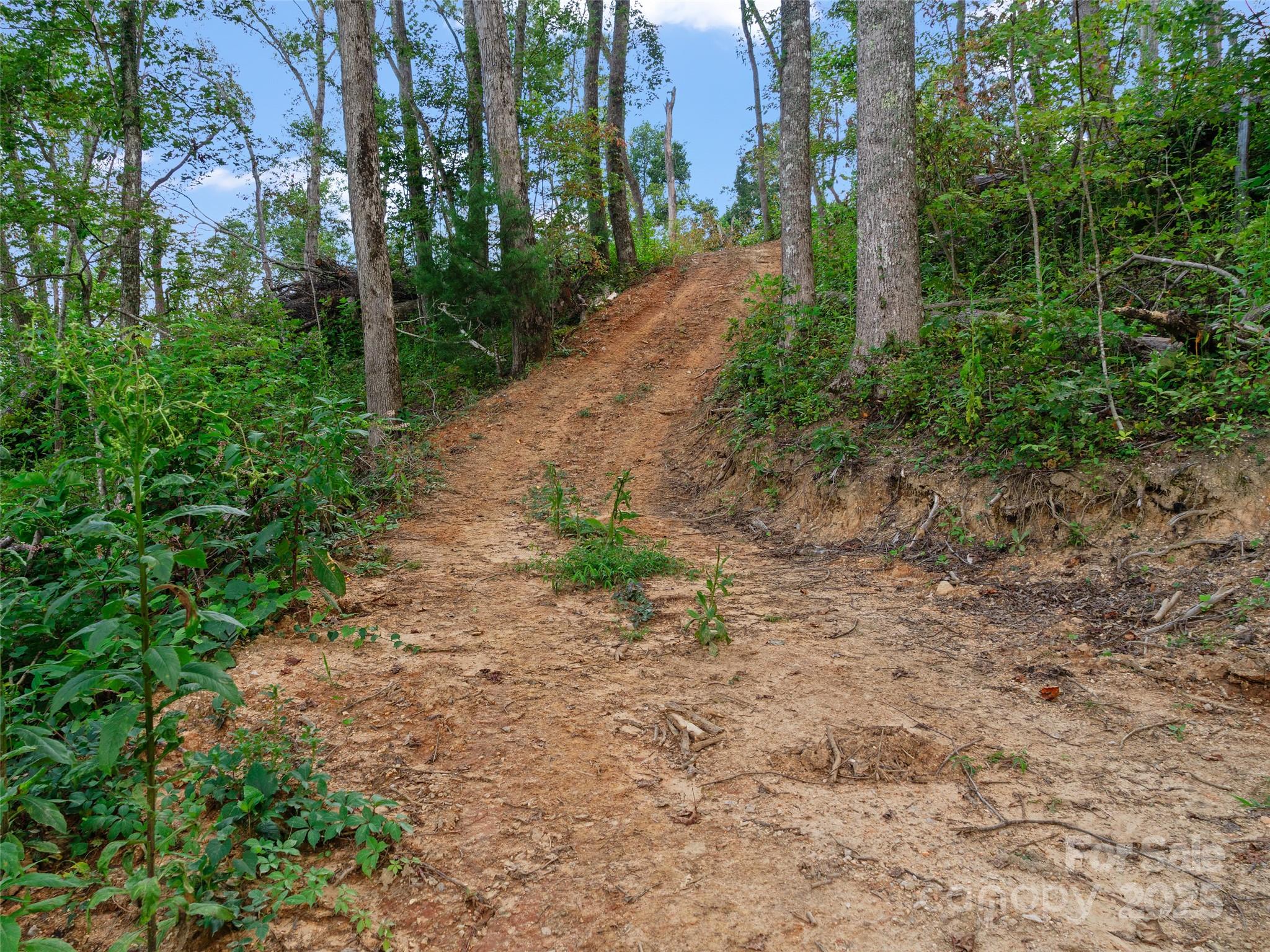 99999 Youngs Gap Road, Unit NORTH LOT Fletcher, NC 28732 - Photo 20 of 32