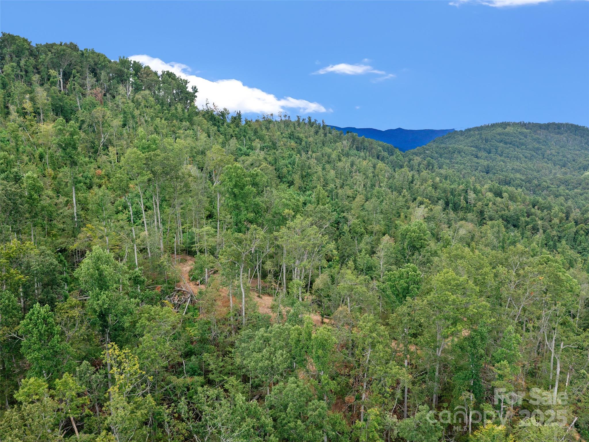 99999 Youngs Gap Road, Unit NORTH LOT Fletcher, NC 28732 - Photo 22 of 32