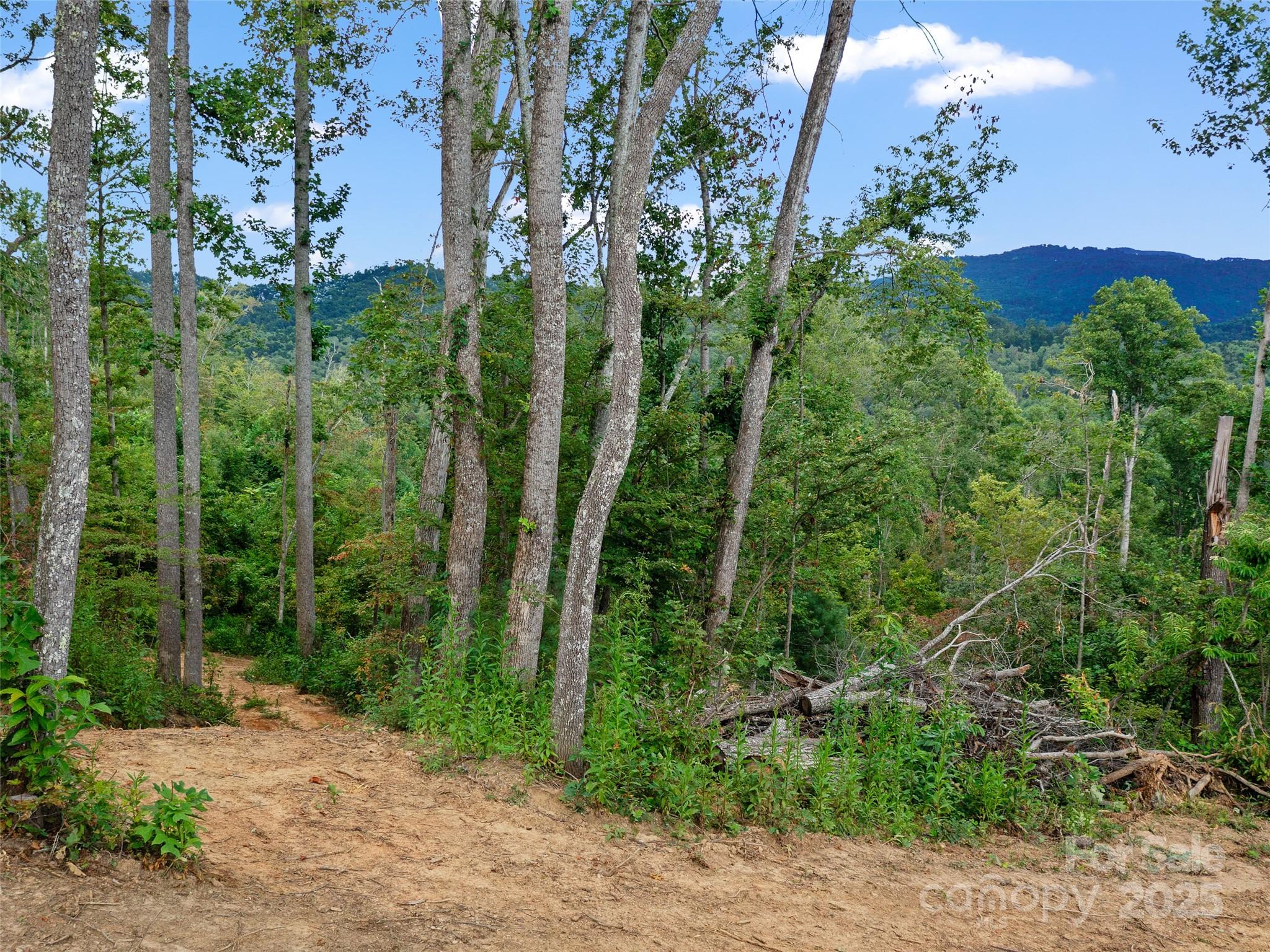 99999 Youngs Gap Road, Unit NORTH LOT Fletcher, NC 28732 - Photo 23 of 32