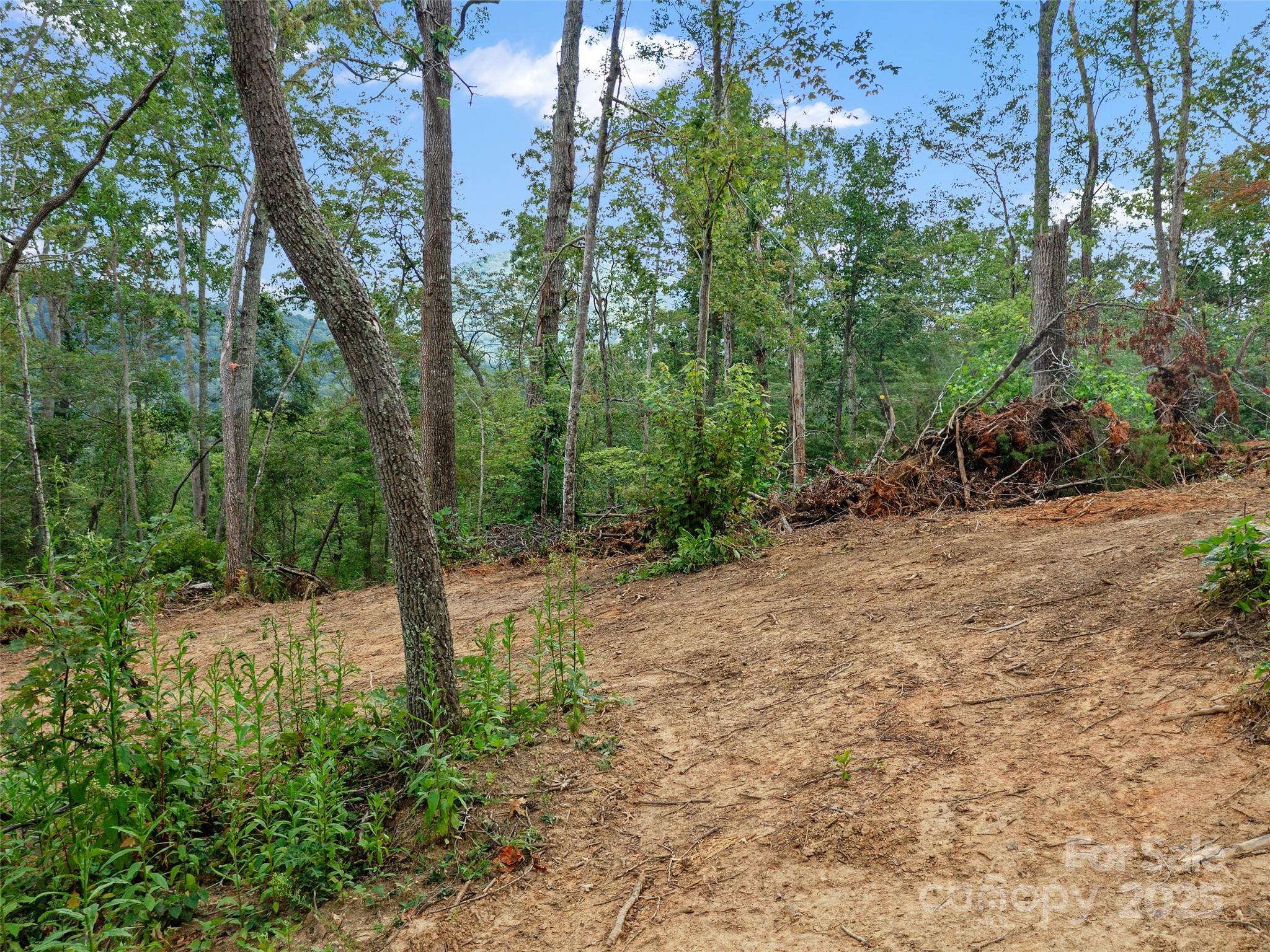 99999 Youngs Gap Road, Unit NORTH LOT Fletcher, NC 28732 - Photo 24 of 32