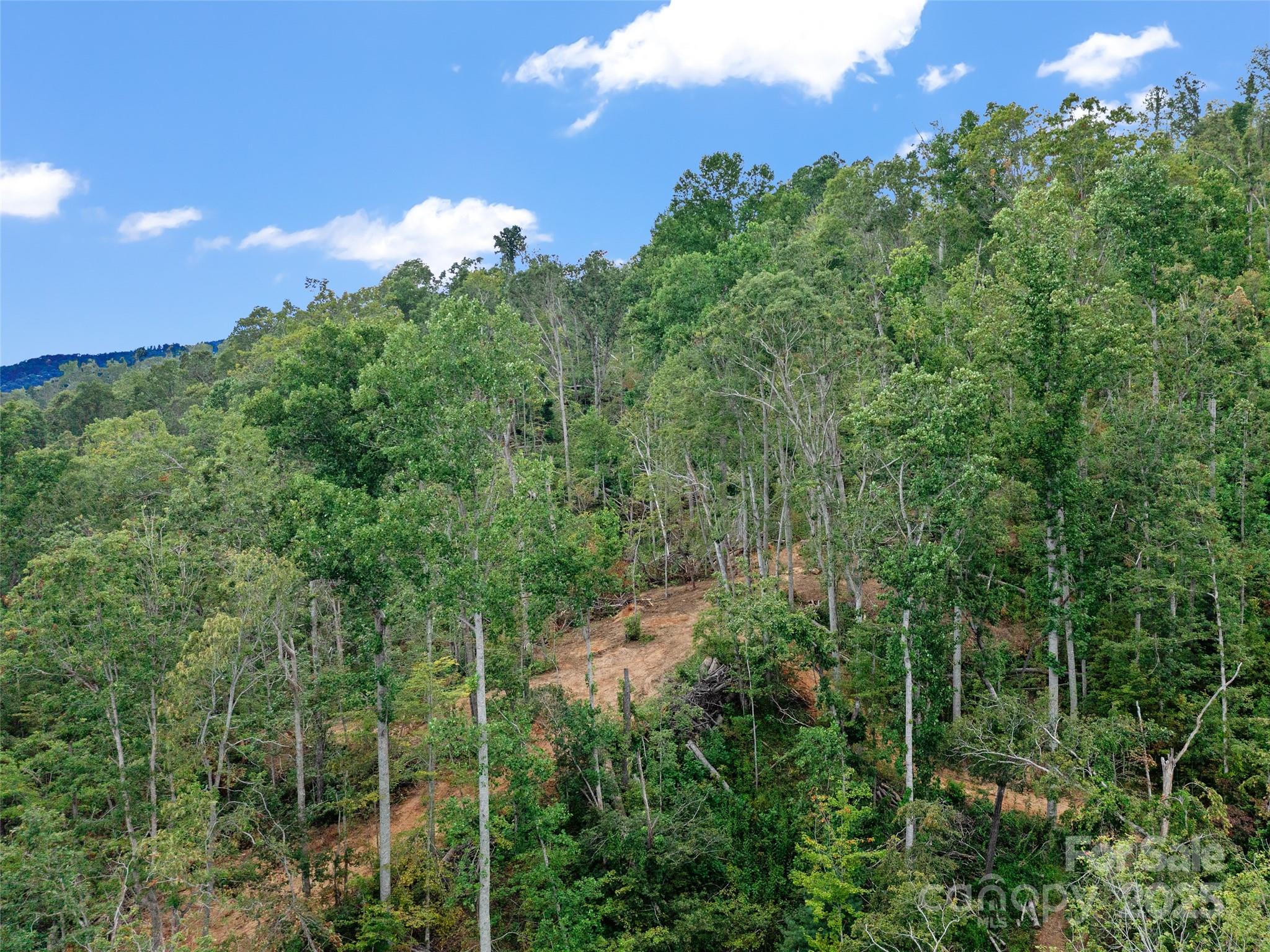 99999 Youngs Gap Road, Unit NORTH LOT Fletcher, NC 28732 - Photo 26 of 32