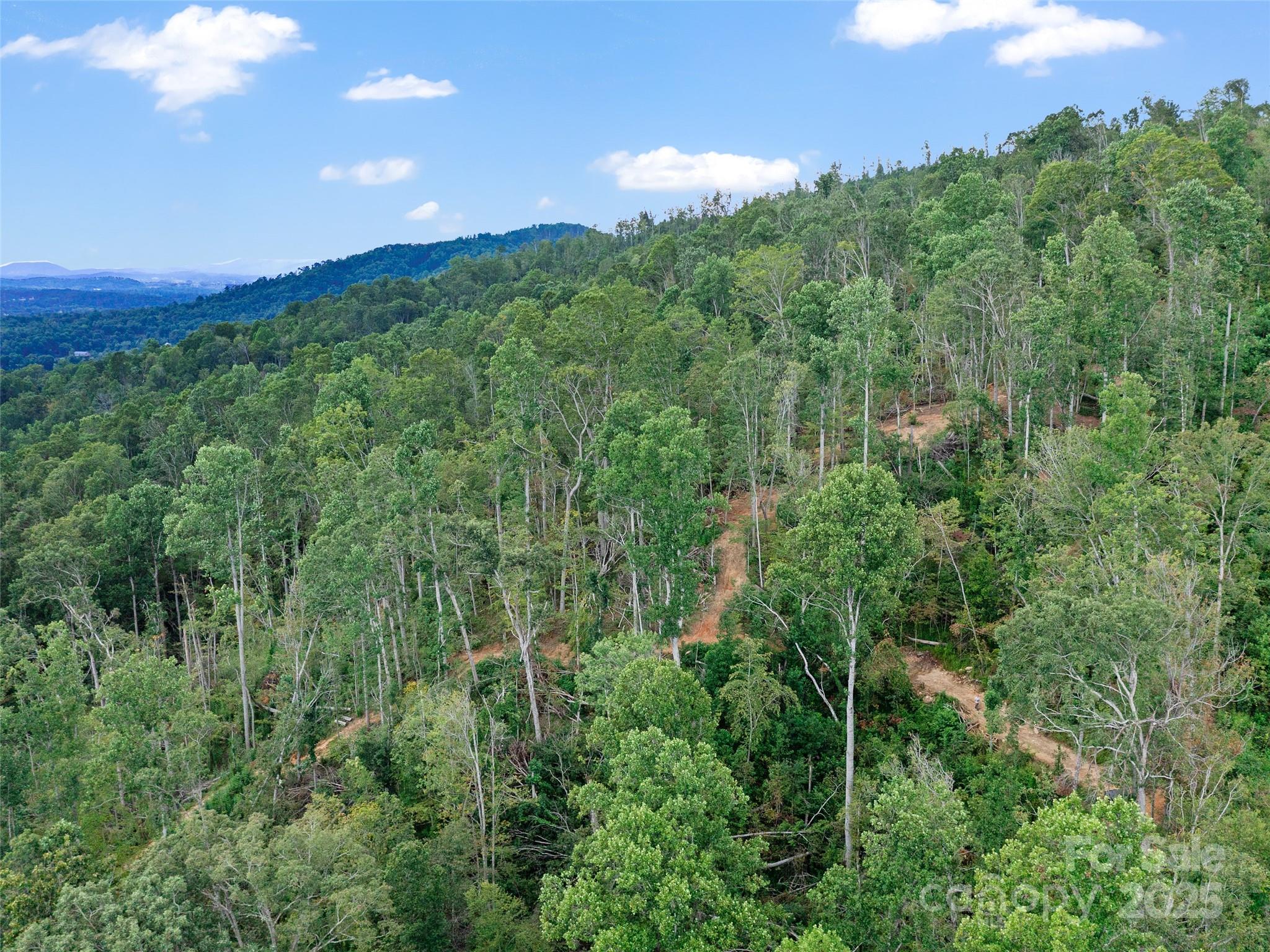 99999 Youngs Gap Road, Unit NORTH LOT Fletcher, NC 28732 - Photo 29 of 32