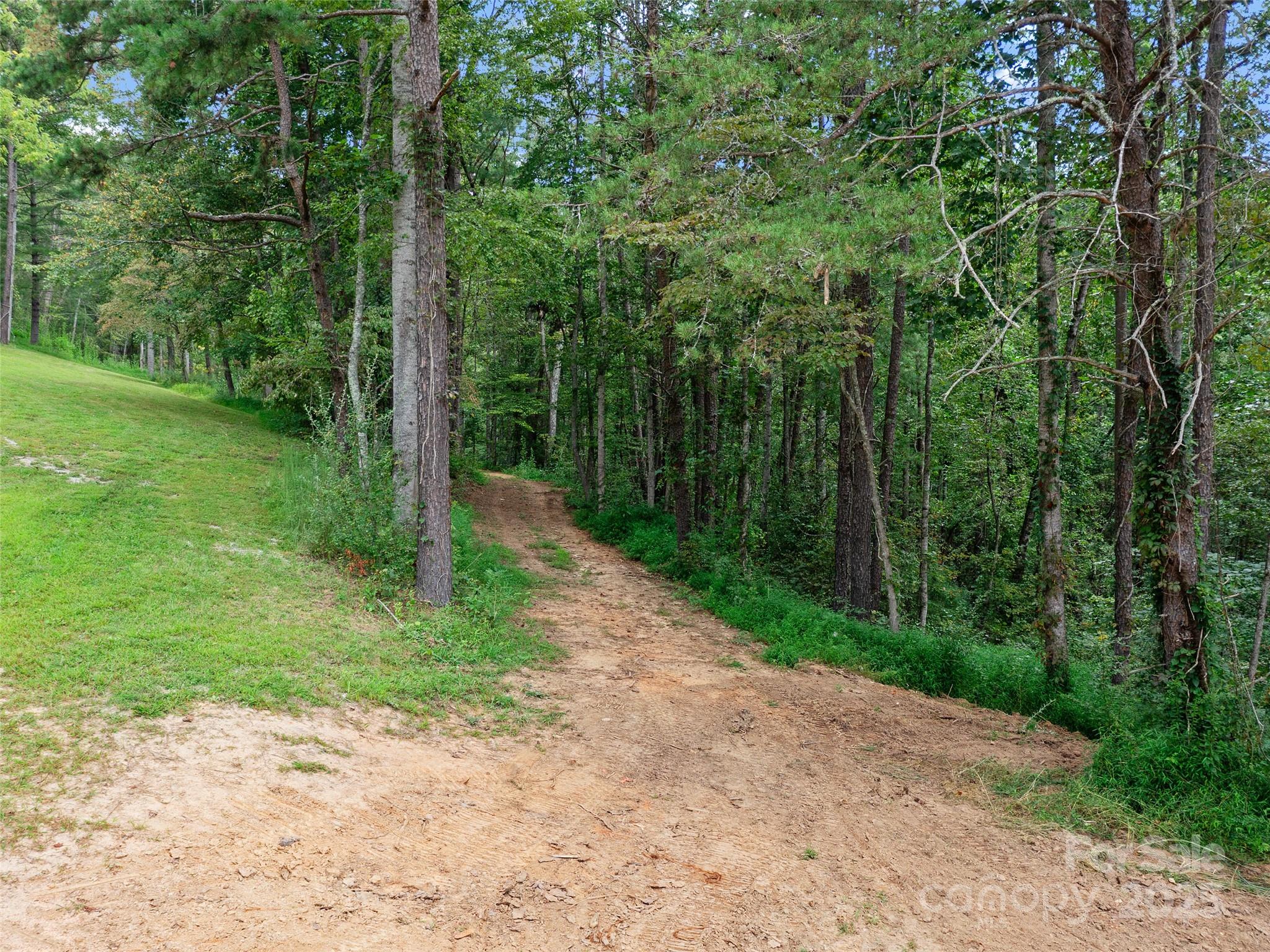 99999 Youngs Gap Road, Unit NORTH LOT Fletcher, NC 28732 - Photo 30 of 32