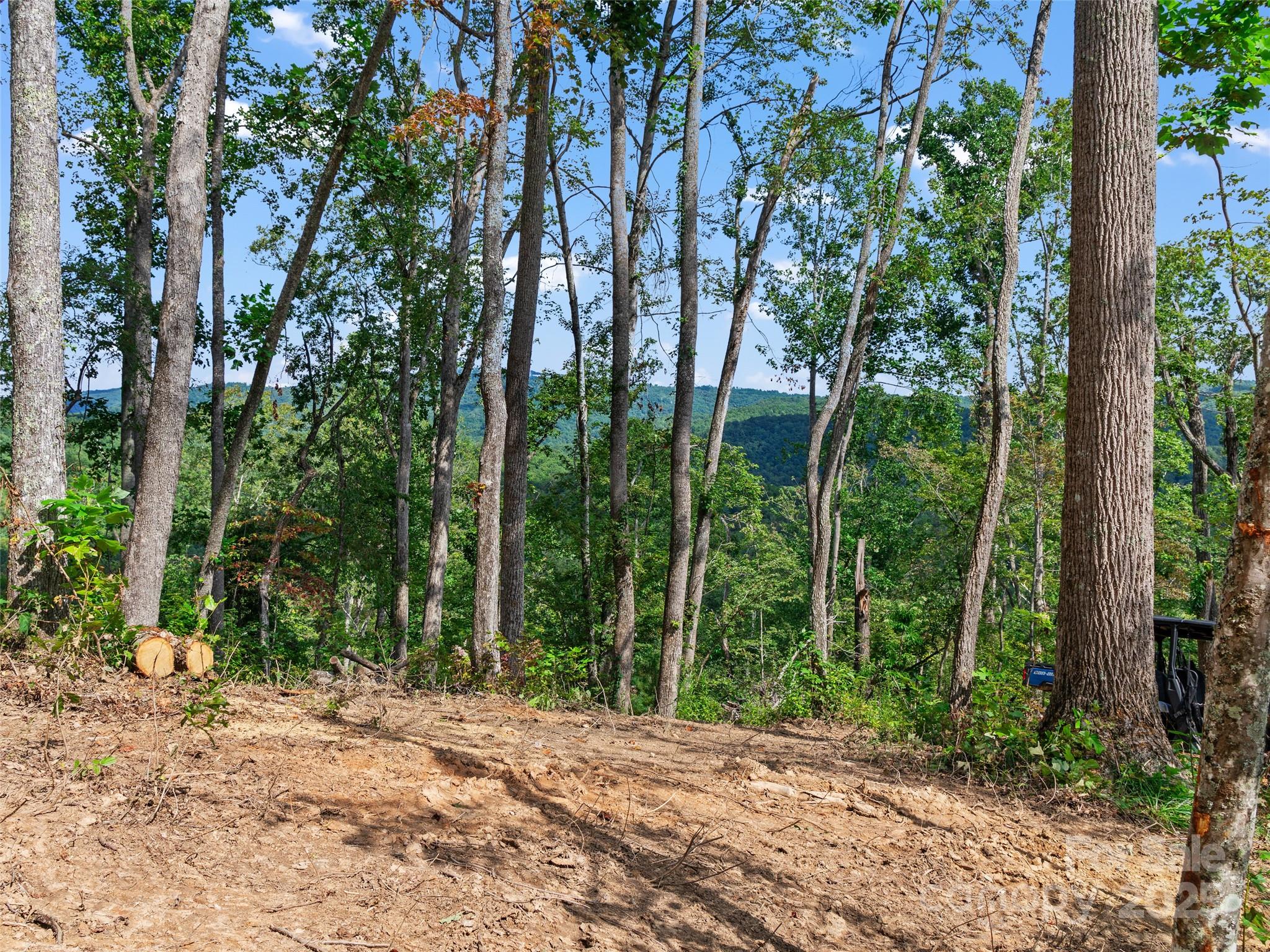 99999 Youngs Gap Road, Unit NORTH LOT Fletcher, NC 28732 - Photo 4 of 32