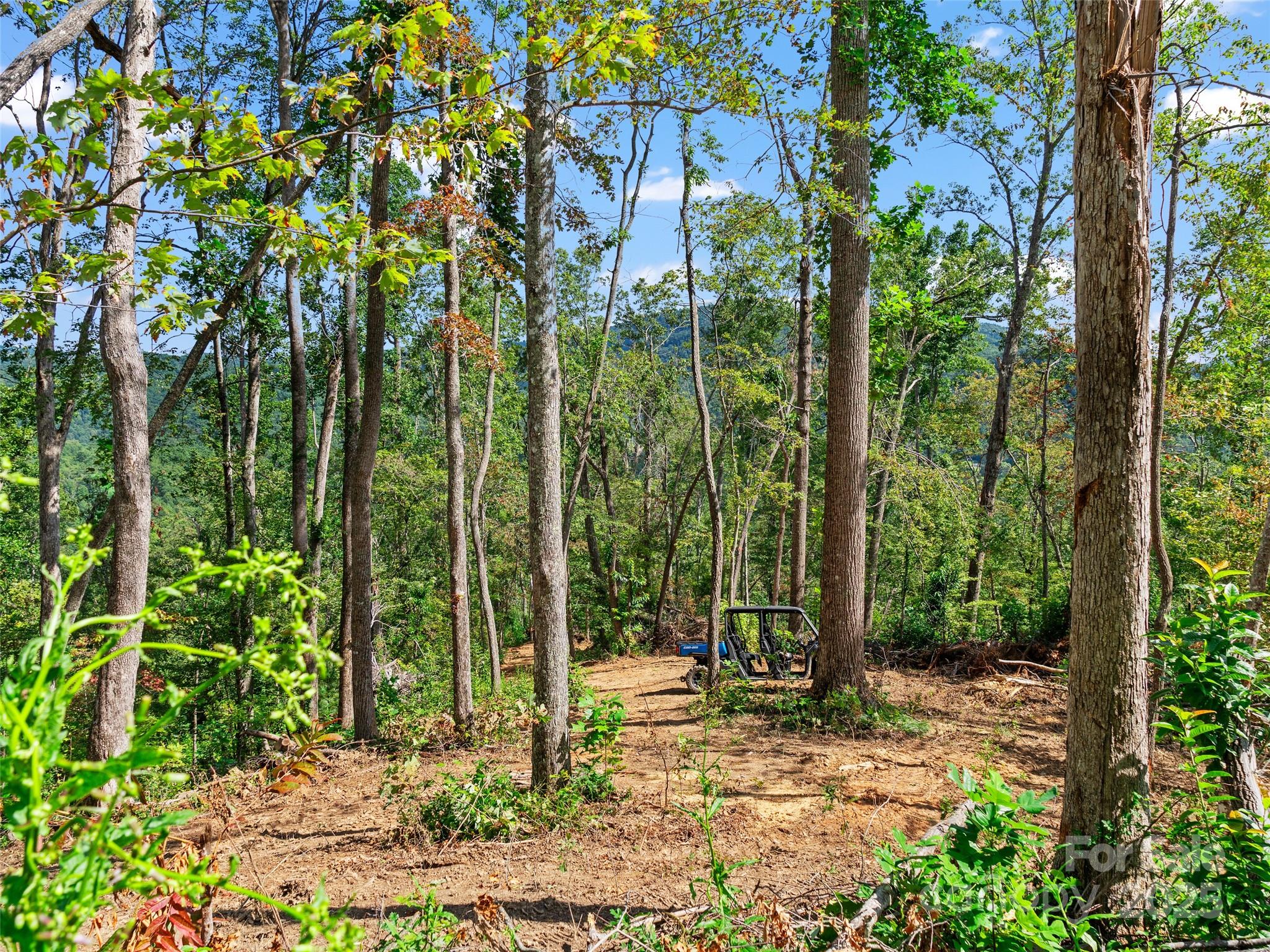 99999 Youngs Gap Road, Unit NORTH LOT Fletcher, NC 28732 - Photo 5 of 32