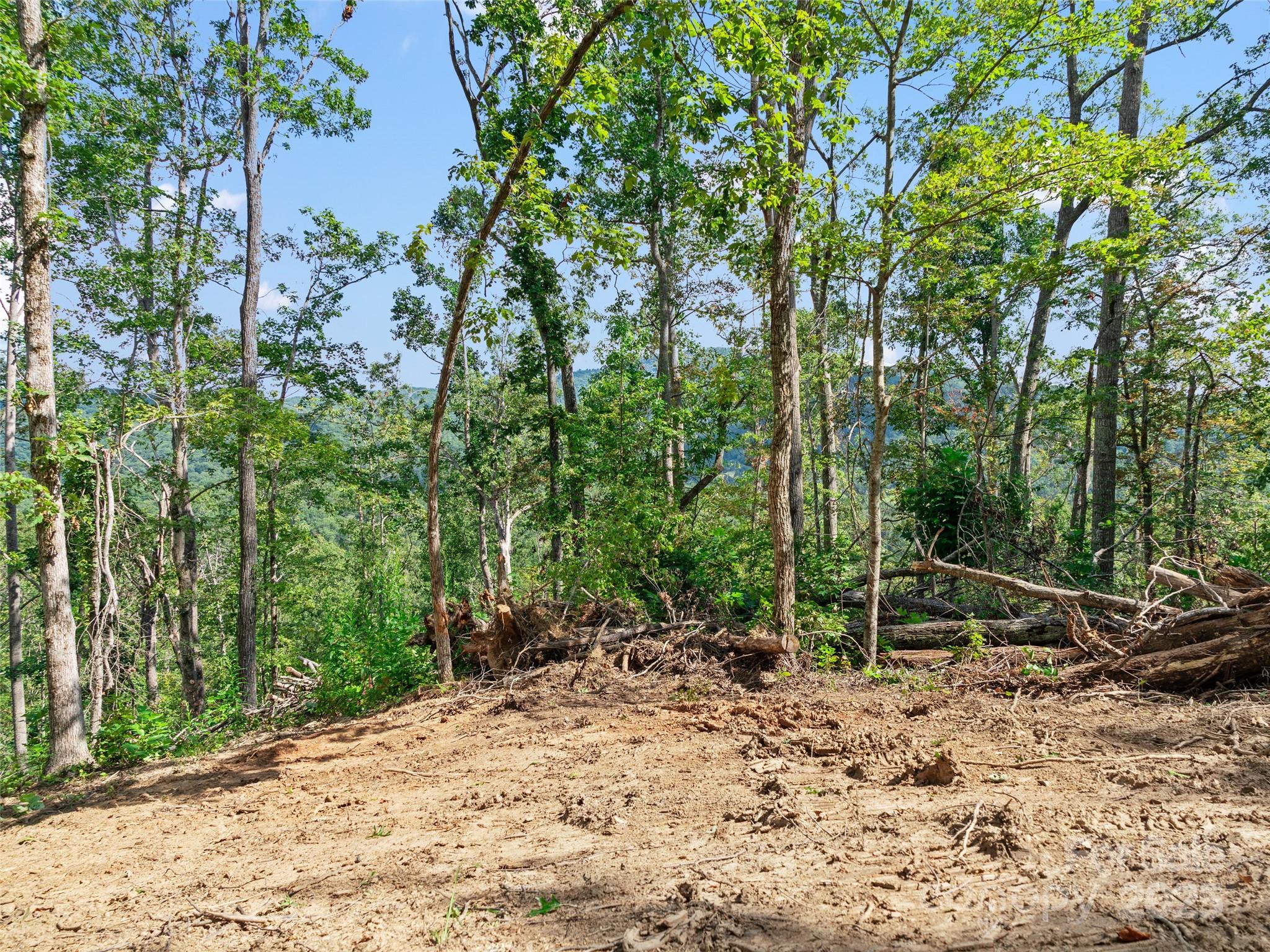 99999 Youngs Gap Road, Unit NORTH LOT Fletcher, NC 28732 - Photo 7 of 32