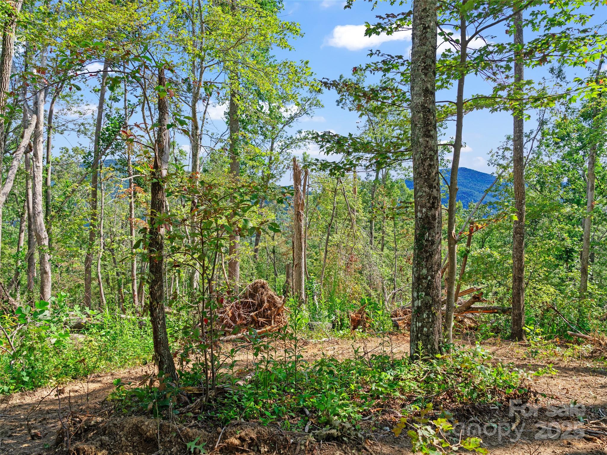 99999 Youngs Gap Road, Unit NORTH LOT Fletcher, NC 28732 - Photo 8 of 32