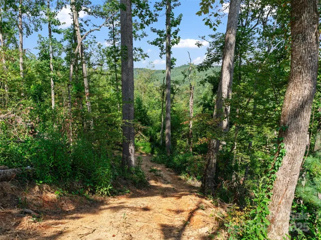 $199,000 | 99999 Youngs Gap Road, Unit NORTH LOT, Fletcher, NC 28732