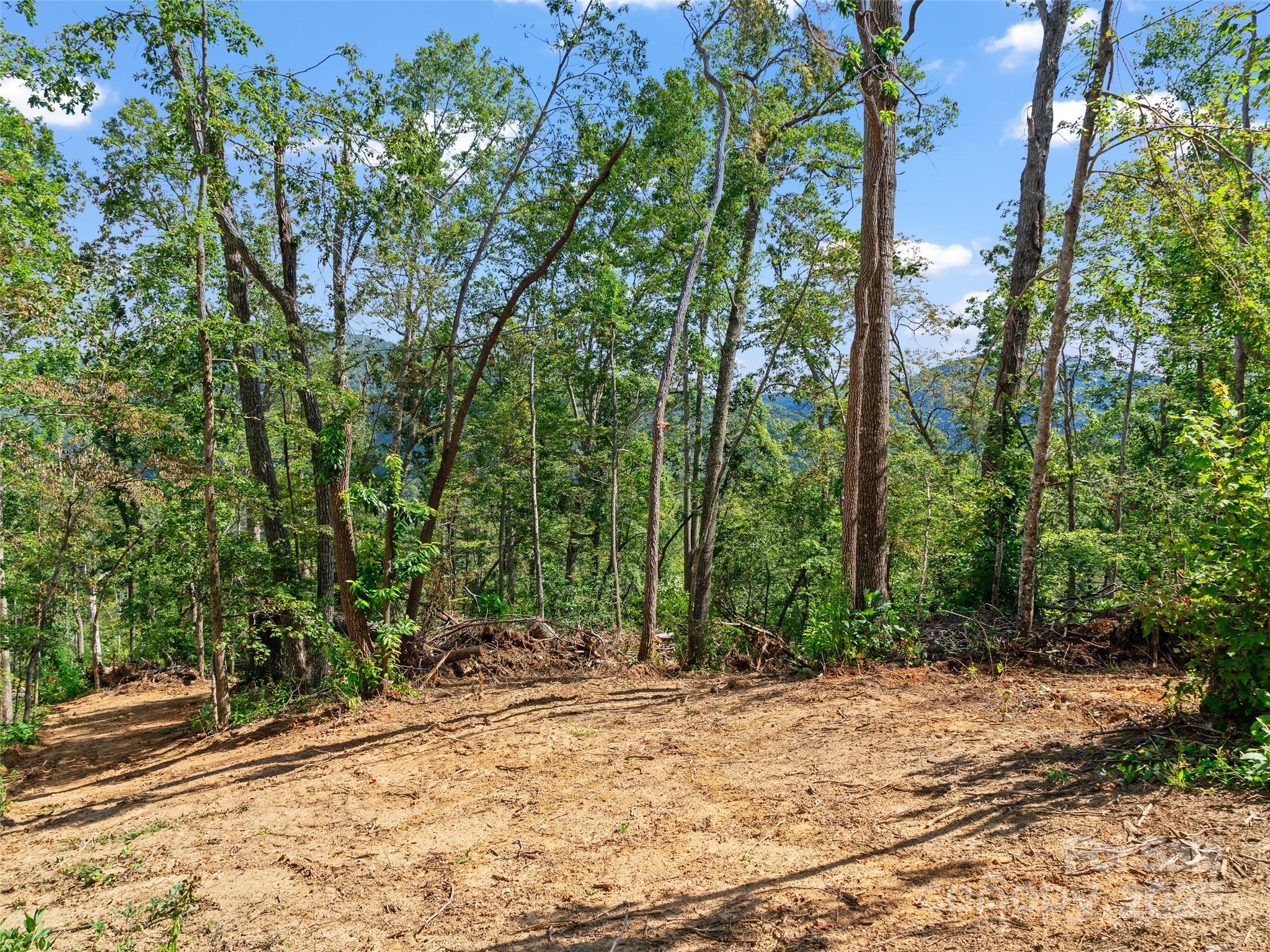 99999 Youngs Gap Road, Unit NORTH LOT Fletcher, NC 28732 - Photo 10 of 32