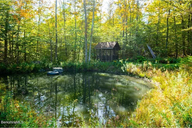 a view of a yard with plants and large trees