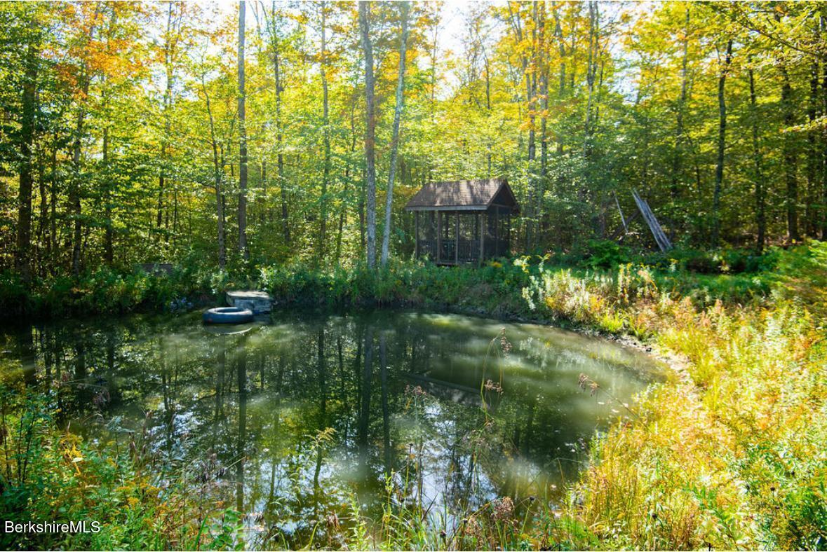 107 Wilderness Way Stephentown, NY 12169 - Photo 2 of 33 a view of a yard with plants and large trees