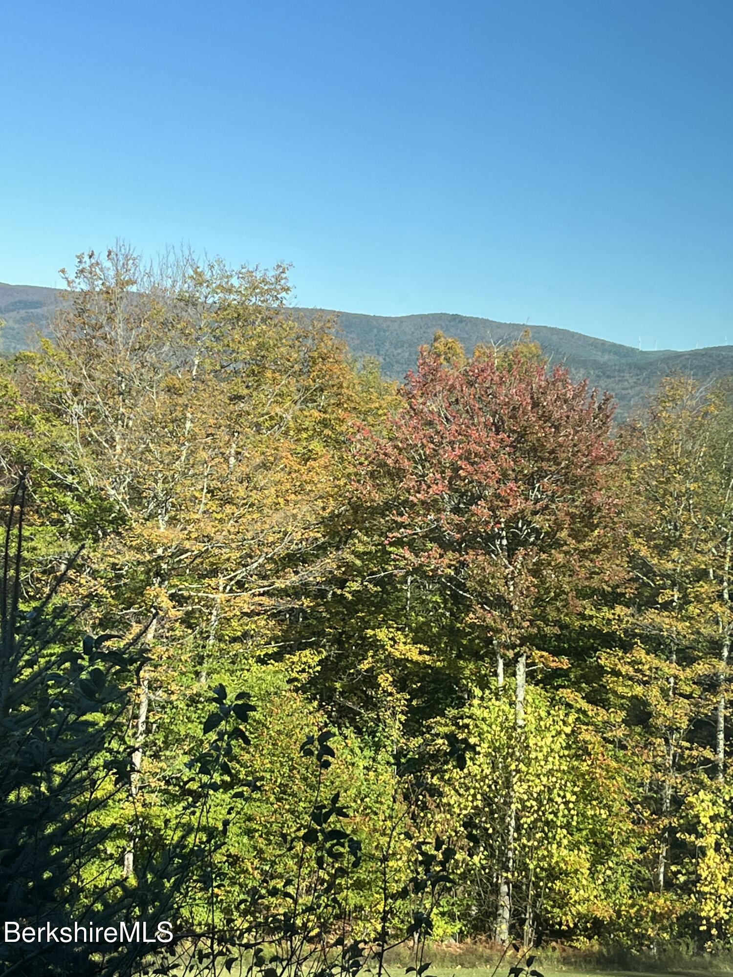 107 Wilderness Way Stephentown, NY 12169 - Photo 25 of 33