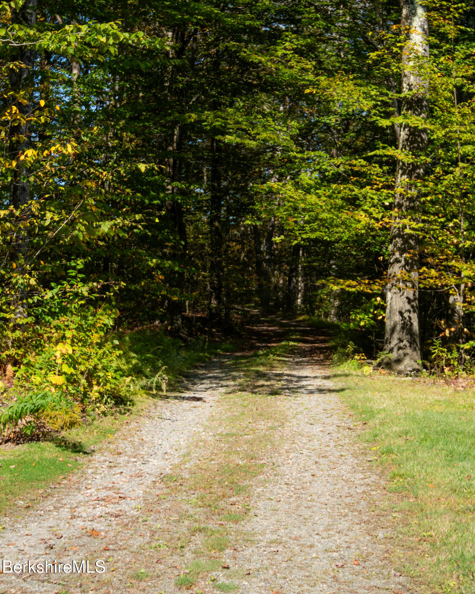 107 Wilderness Way Stephentown, NY 12169 - Photo 33 of 33 a view of a yard with wooden fence