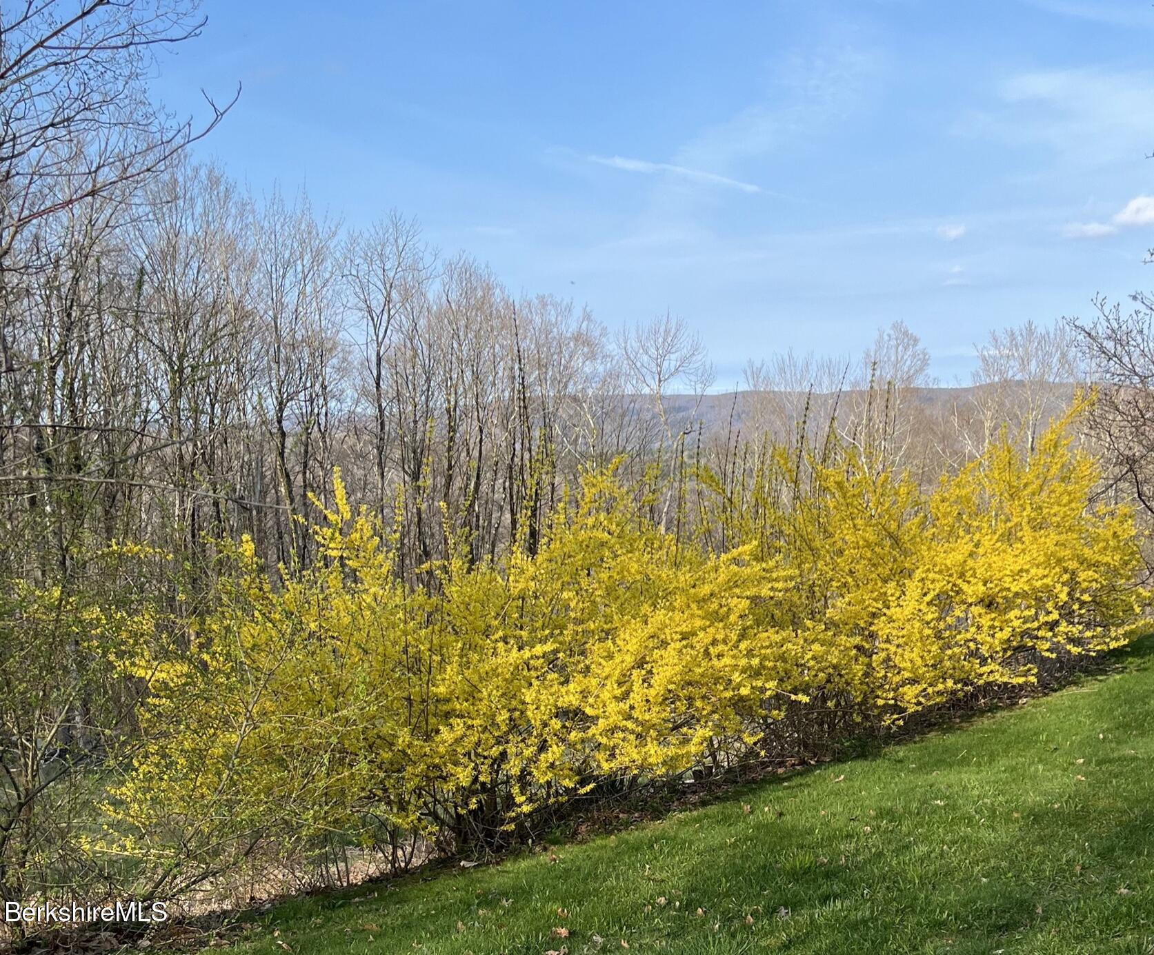 107 Wilderness Way Stephentown, NY 12169 - Photo 4 of 33 a view of a lake with a house in the background