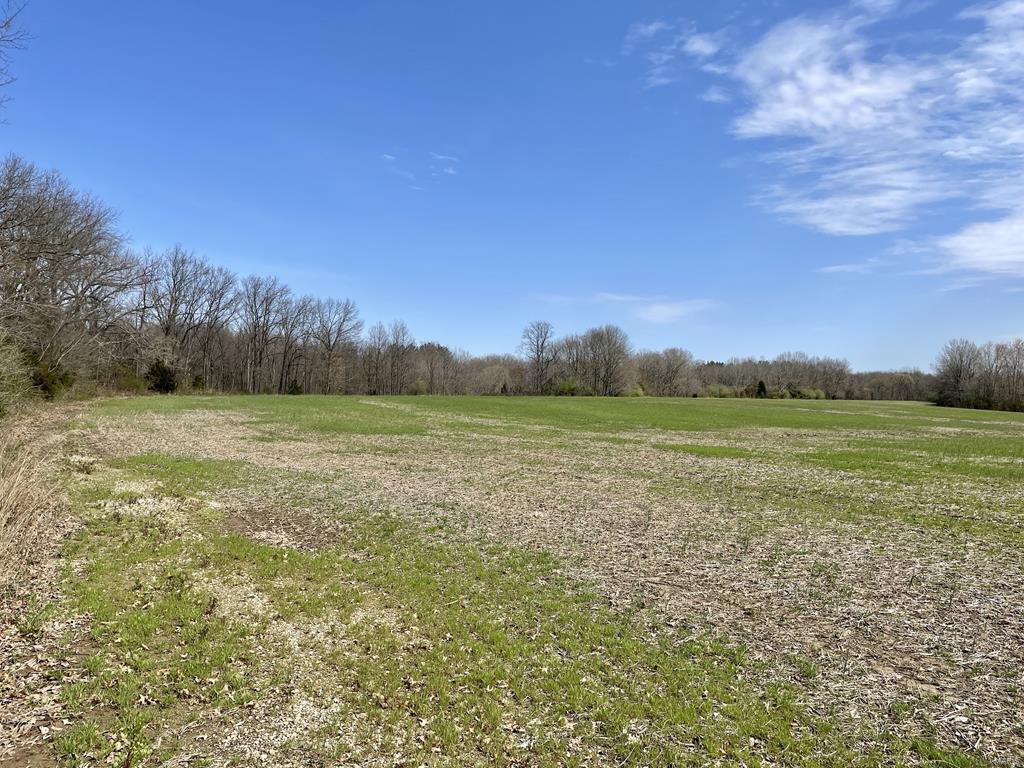 15 Van Buren Road Texico, IL 62889 - Photo 27 of 49