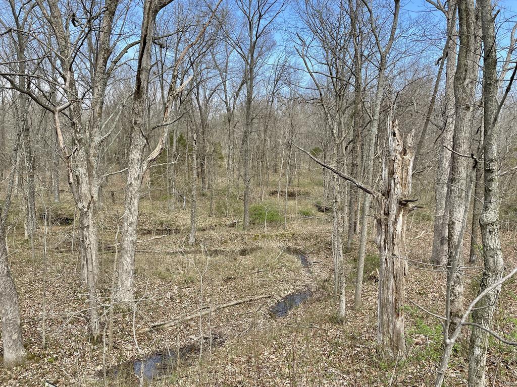 15 Van Buren Road Texico, IL 62889 - Photo 29 of 49