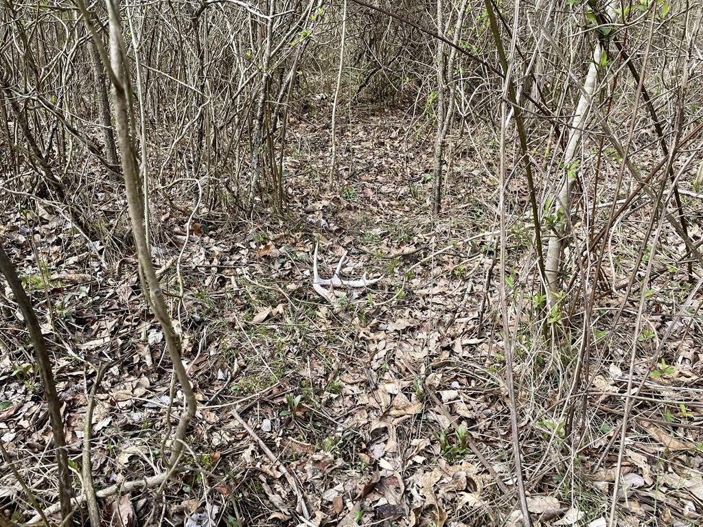 15 Van Buren Road Texico, IL 62889 - Photo 30 of 49