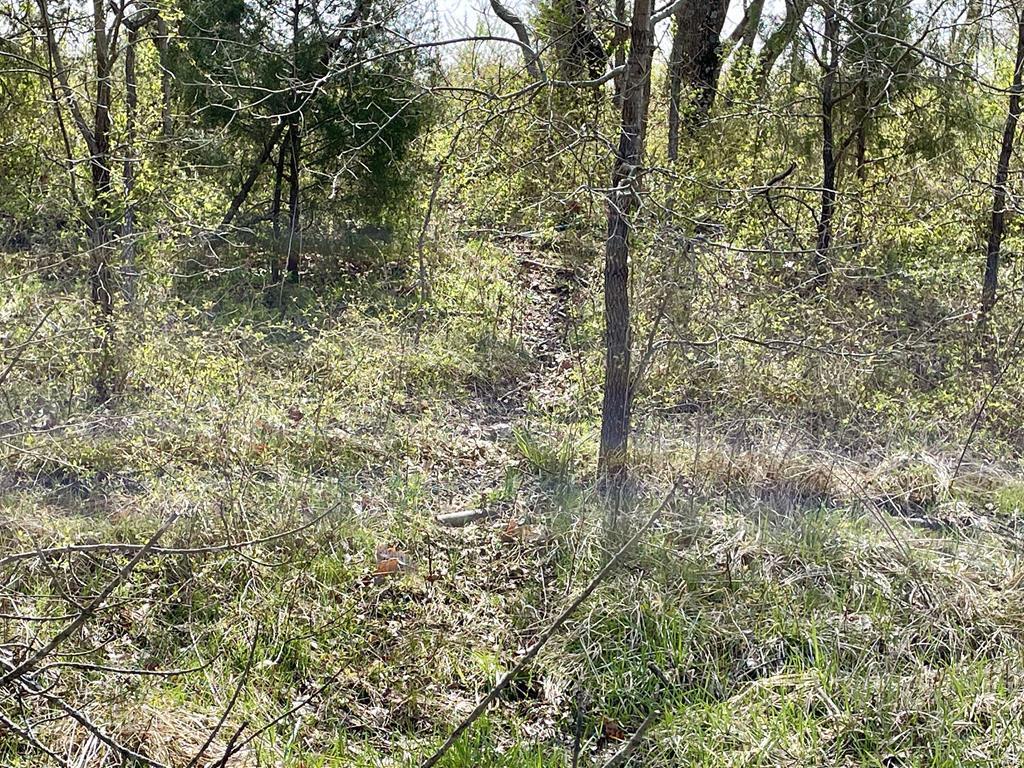 15 Van Buren Road Texico, IL 62889 - Photo 32 of 49