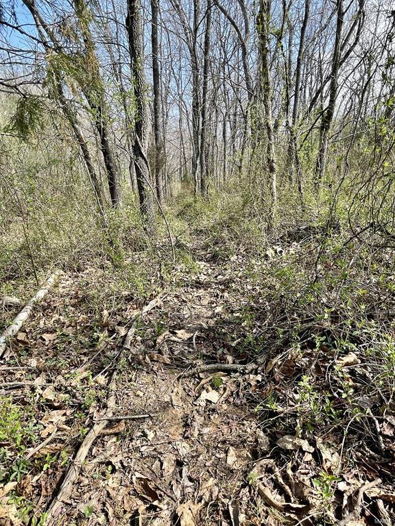 15 Van Buren Road Texico, IL 62889 - Photo 34 of 49
