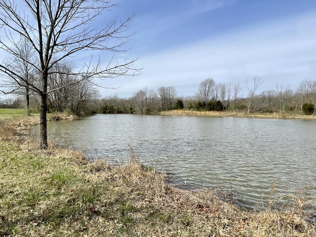 15 Van Buren Road Texico, IL 62889 - Photo 38 of 49