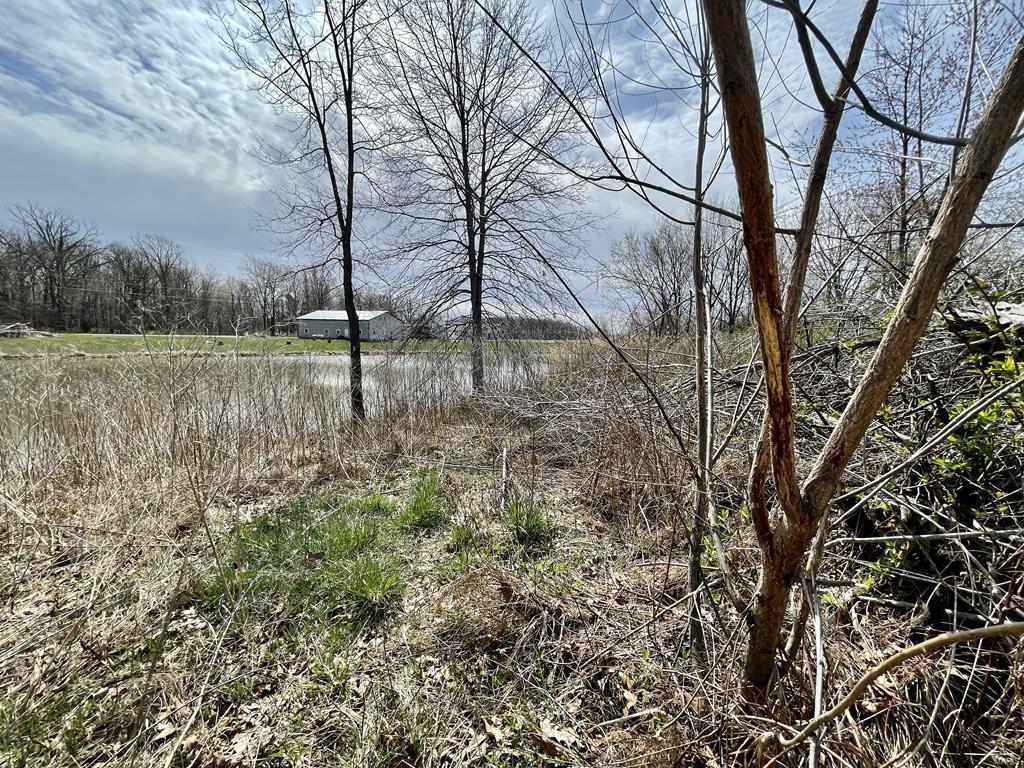 15 Van Buren Road Texico, IL 62889 - Photo 40 of 49