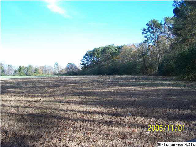 281 Timmerman Road Blountsville, AL 35031 - Photo 7 of 9