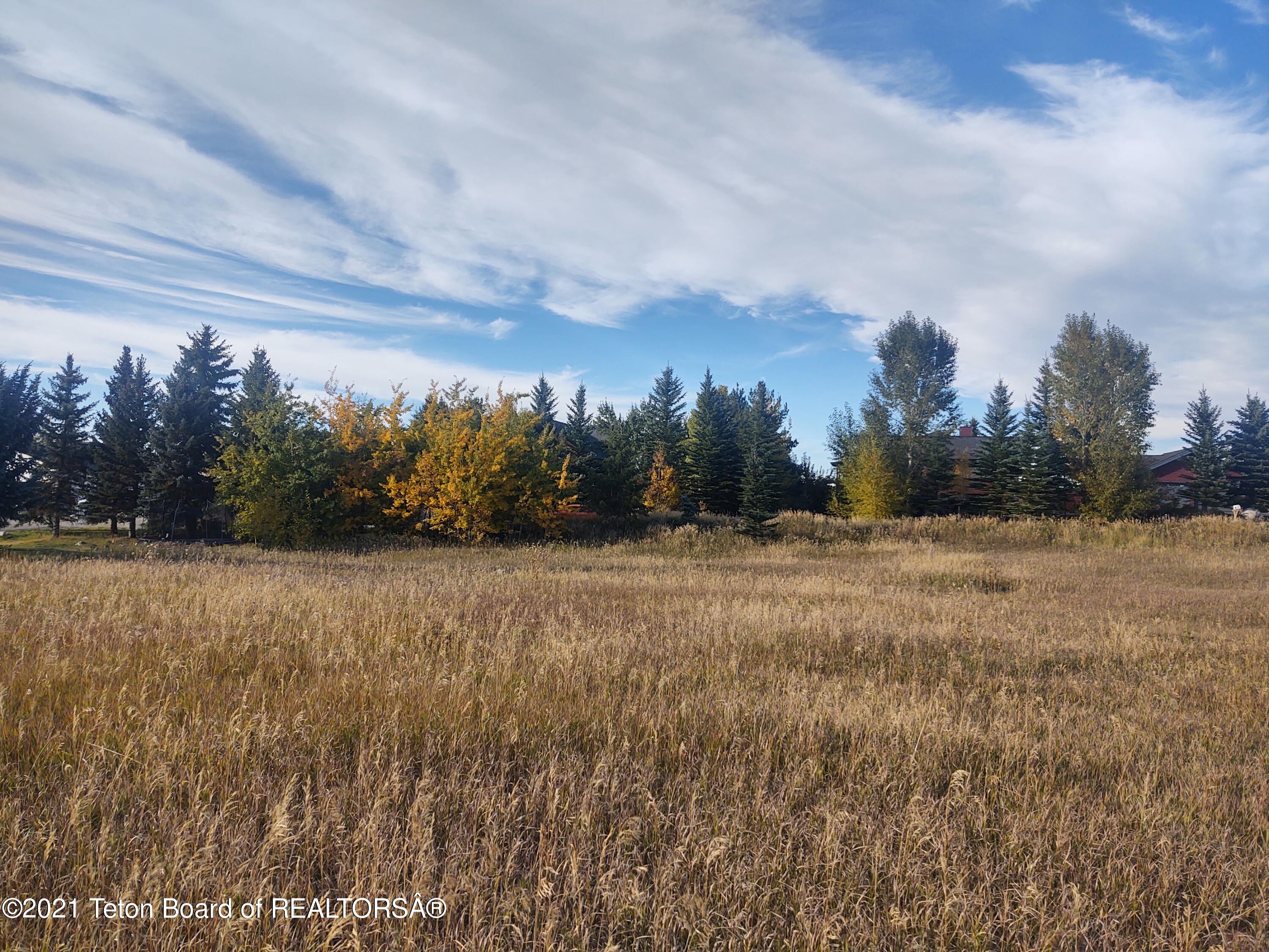 445 Targhee Towne Road Alta, WY 83414 - Photo 9 of 16 North Fall