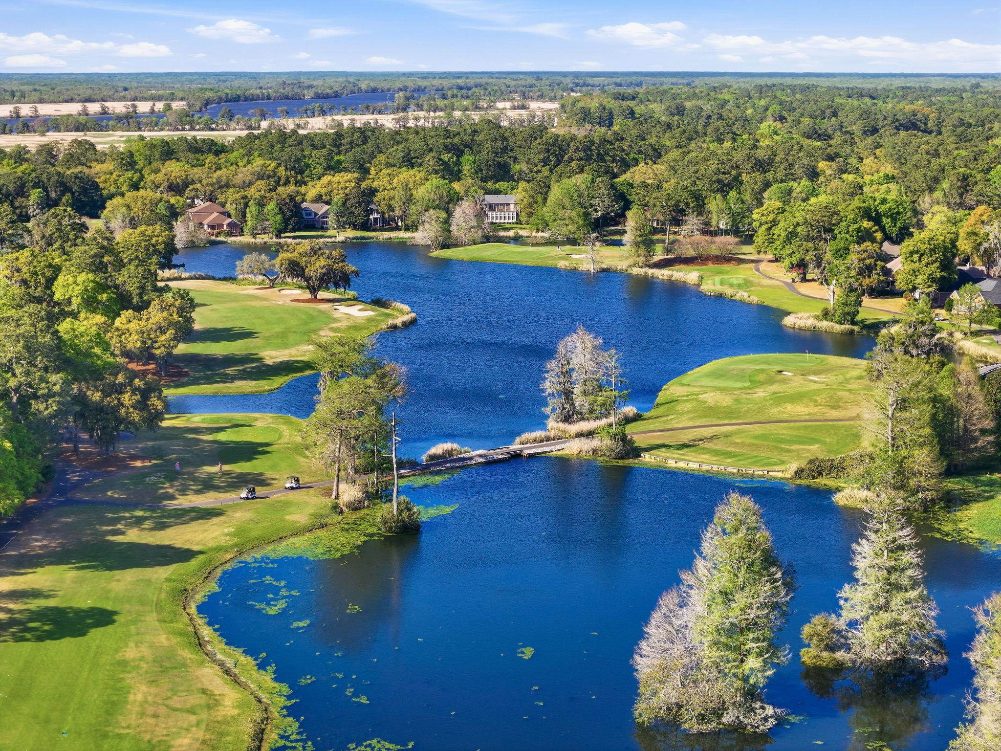 61 Portrush Loop Pawleys Island, SC 29585 - Photo 58 of 61
