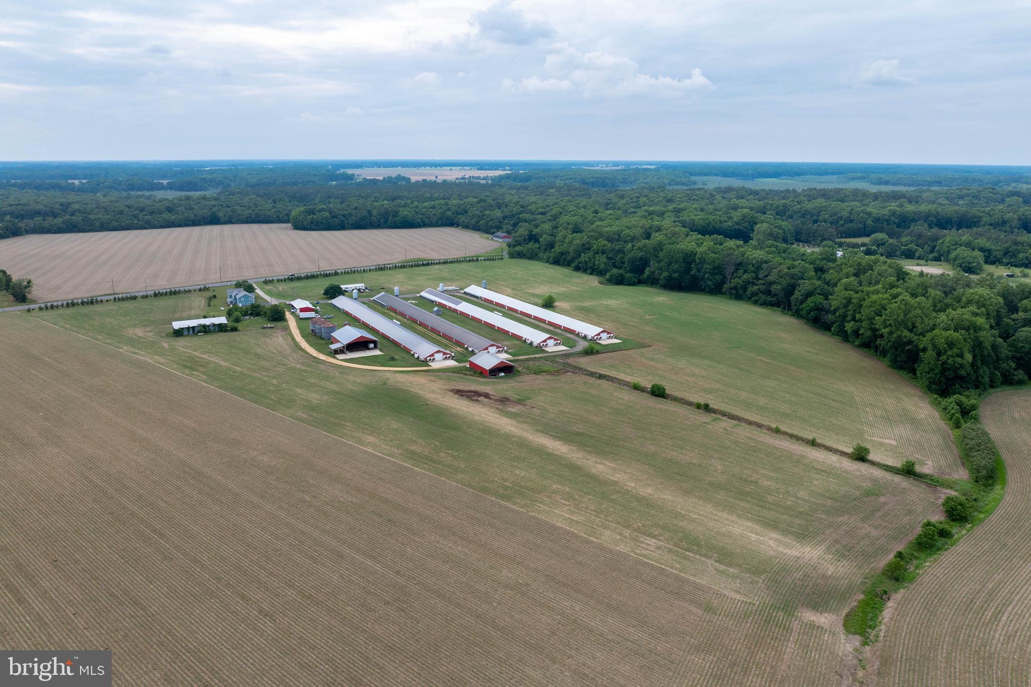 7347 Harmony Road Preston, MD 21655 - Photo 15 of 63 Aerial View of Farm & House
