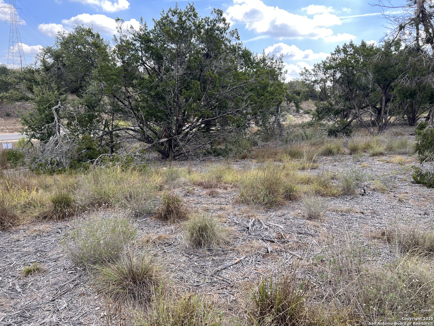 868 Bell Cyn Way Bulverde, TX 78163 - Photo 3 of 5