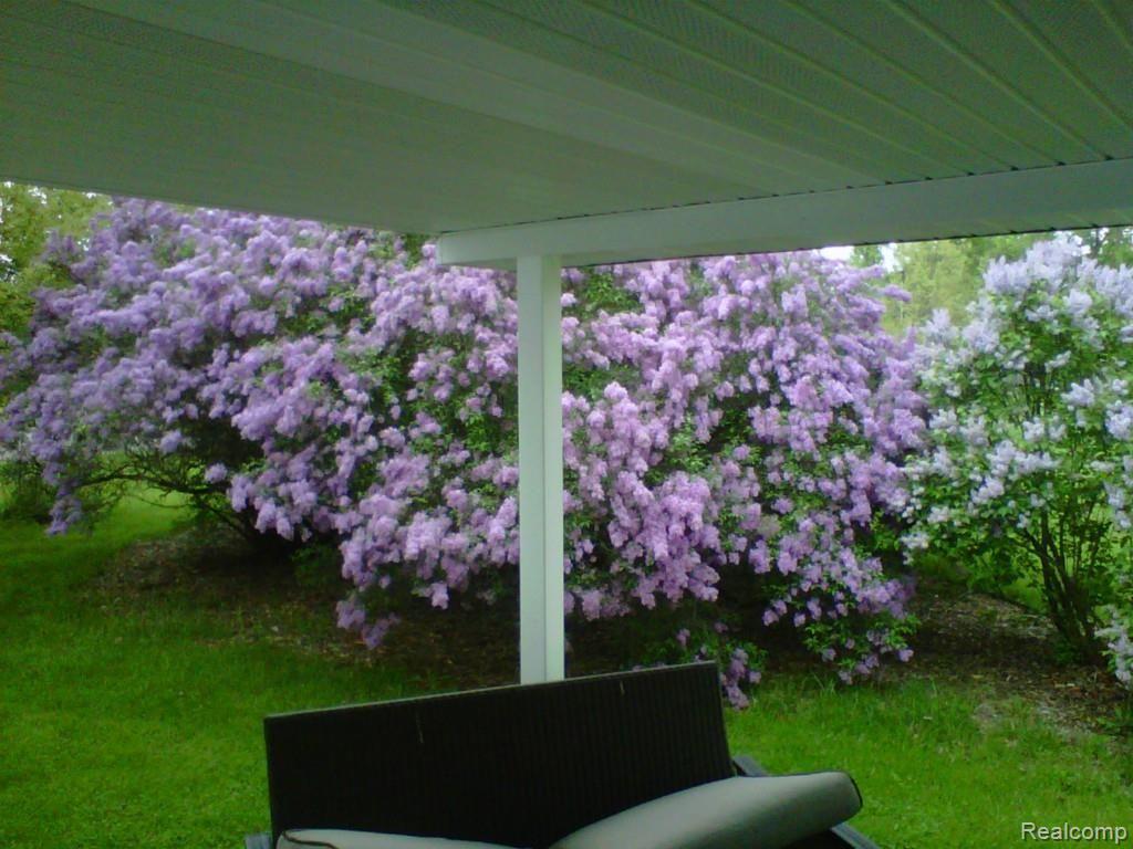 13961 Lenmoore Road Belleville, MI 48111 - Photo 32 of 33 IMG_0702.jpg