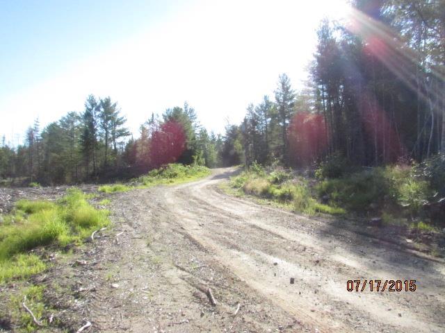 Lot 17 East Branch Road Howland, ME 04448 - Photo 8 of 10 Photo