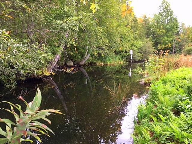 1078 Center Hill Road Weld, ME 04285 - Photo 21 of 21 Photo