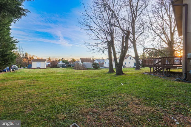 a view of green field with tree in the background