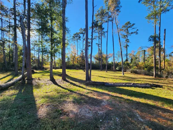 $19,500 | 350 Brahman Drive, Onalaska, TX 77360